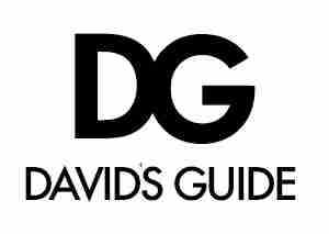 The image shows a black and white logo with the letters DG above the words DAVID'S GUIDE.