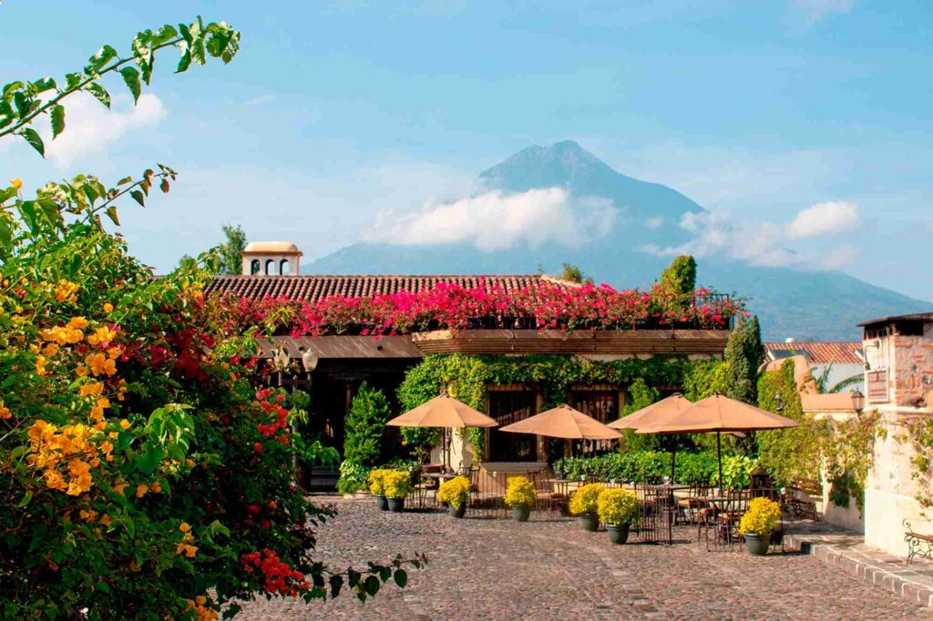 A picturesque outdoor dining area with umbrellas, surrounded by vibrant flowers and a view of a distant volcano.