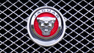 Jaguar Logo