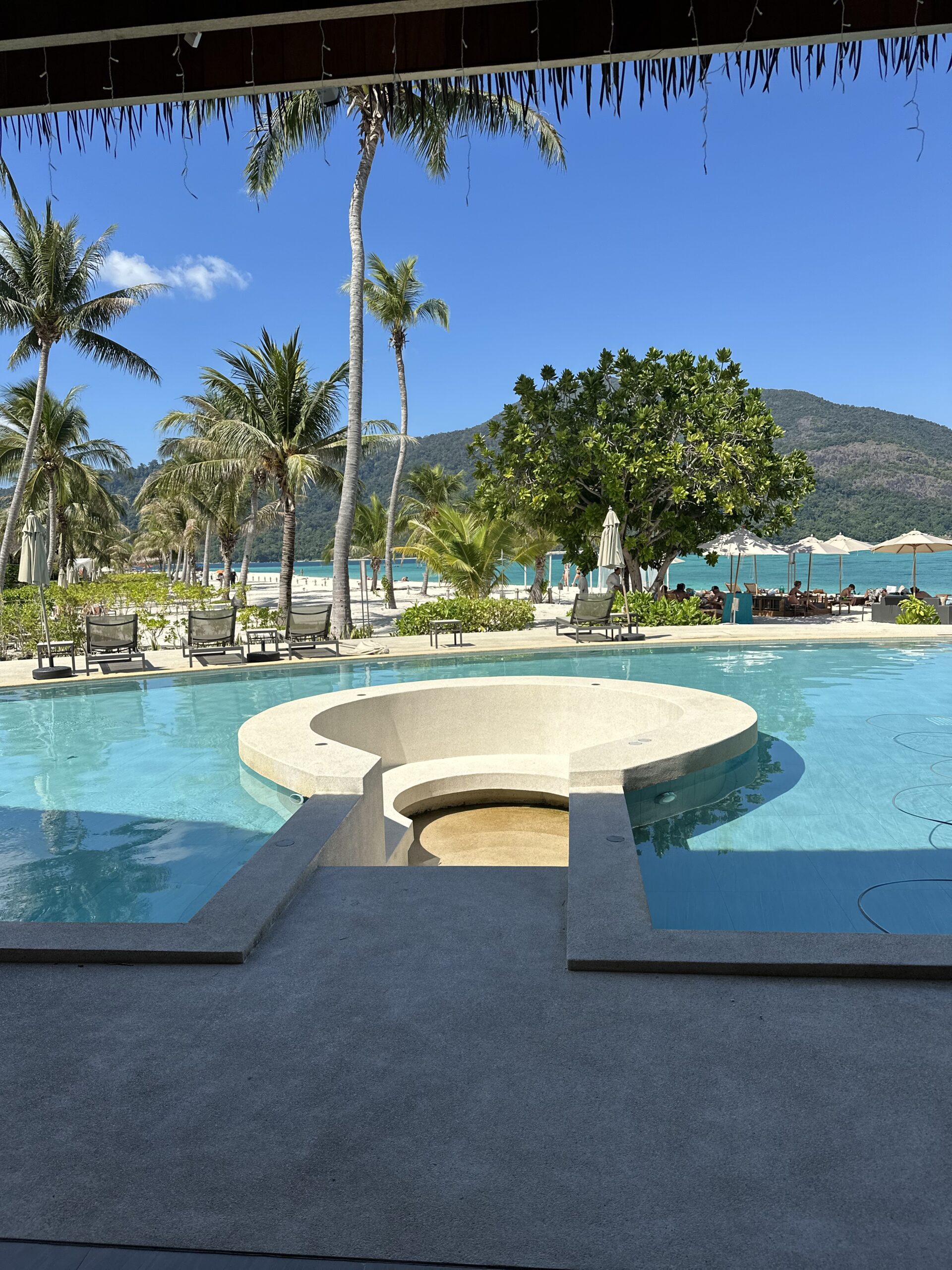 she's all over the place