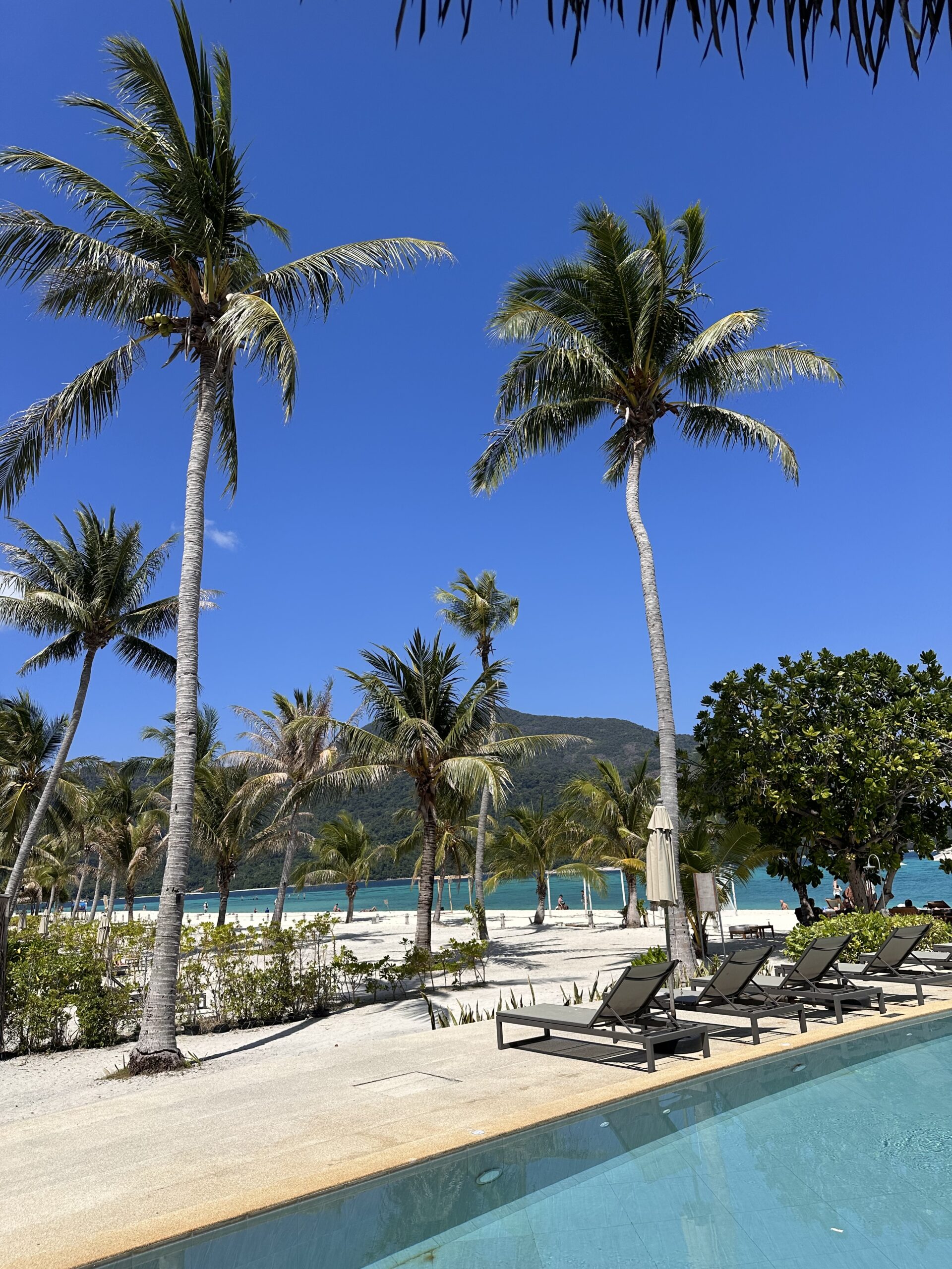 she's all over the place