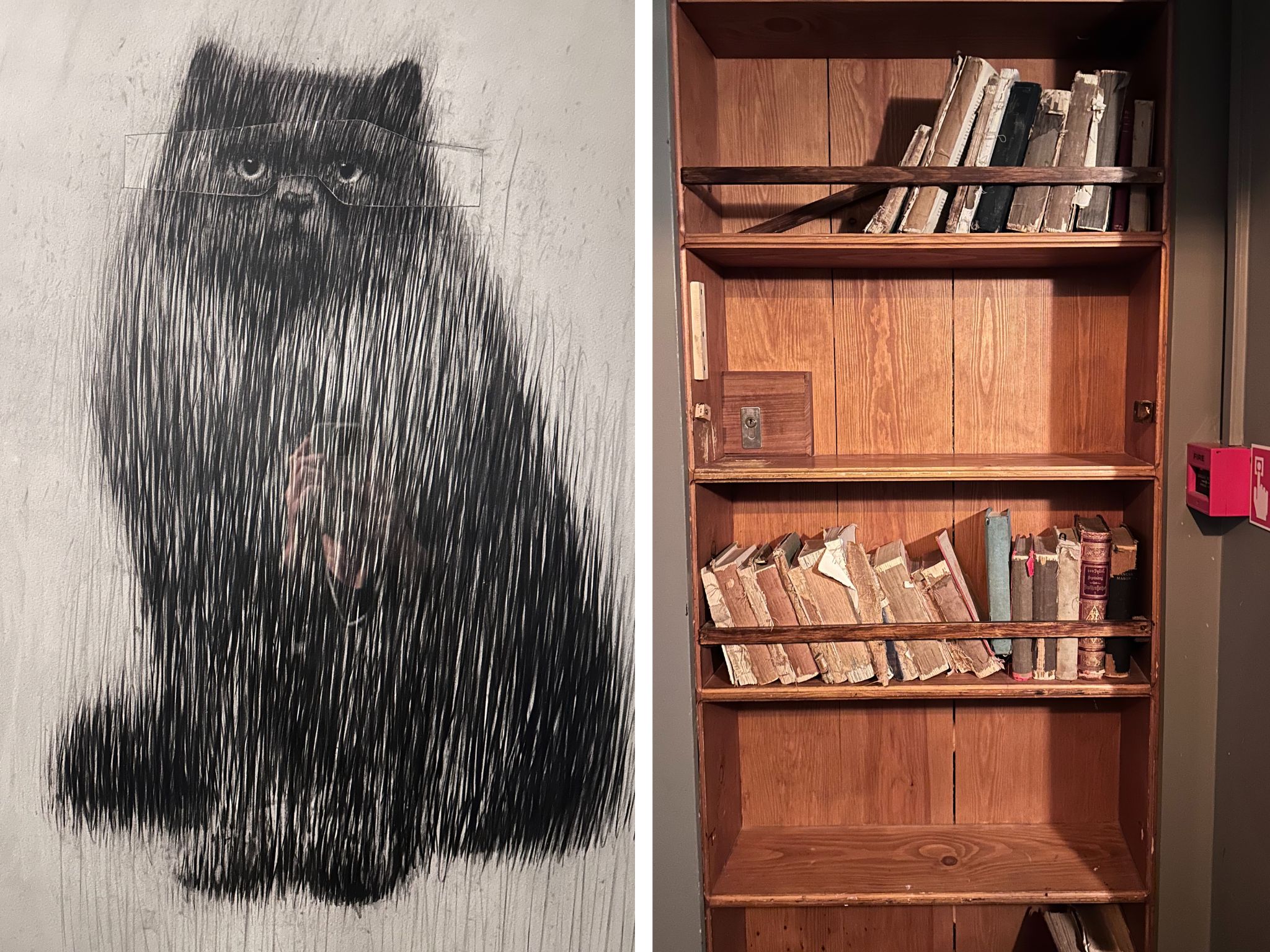 she's all over the place