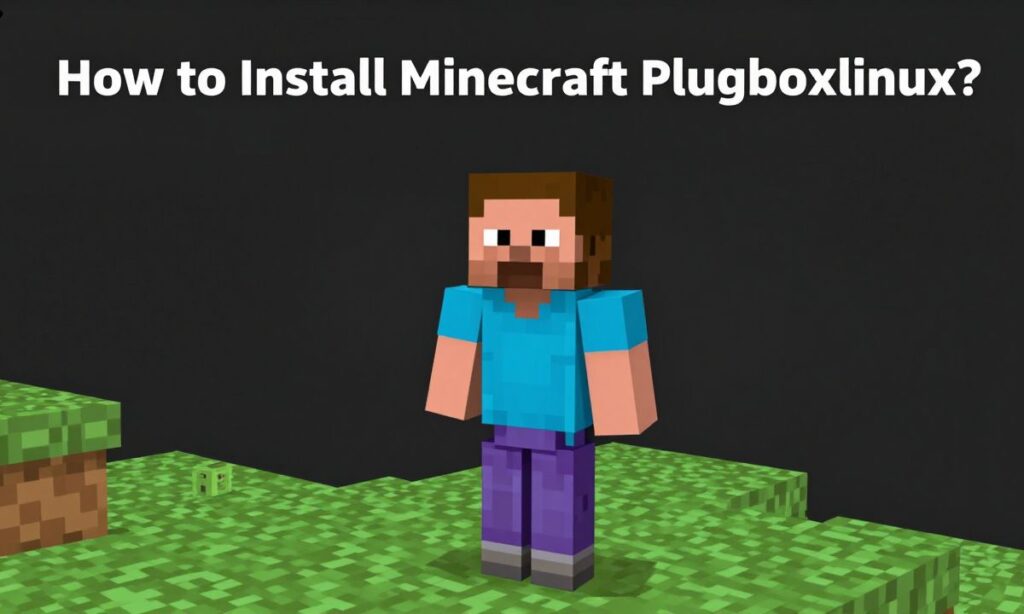 How to Install Minecraft Plugboxlinux?