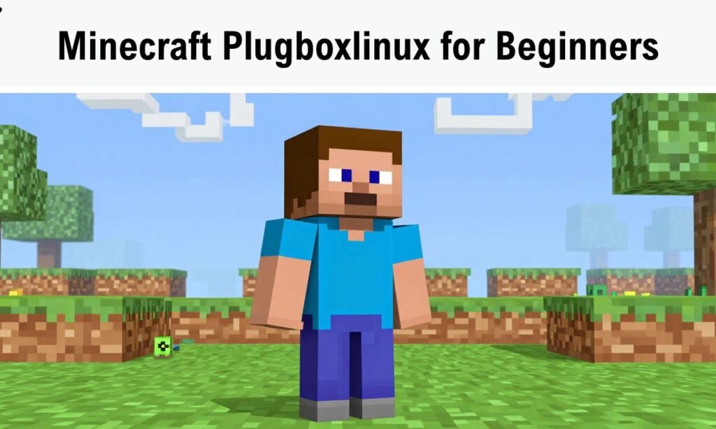 Minecraft Plugboxlinux for Beginners