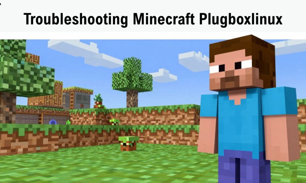 Troubleshooting Minecraft Plugboxlinux