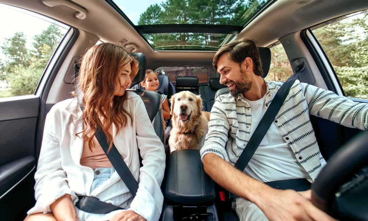 best cars for pet owners with easy-clean interiors