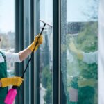 Professional Window Cleaning