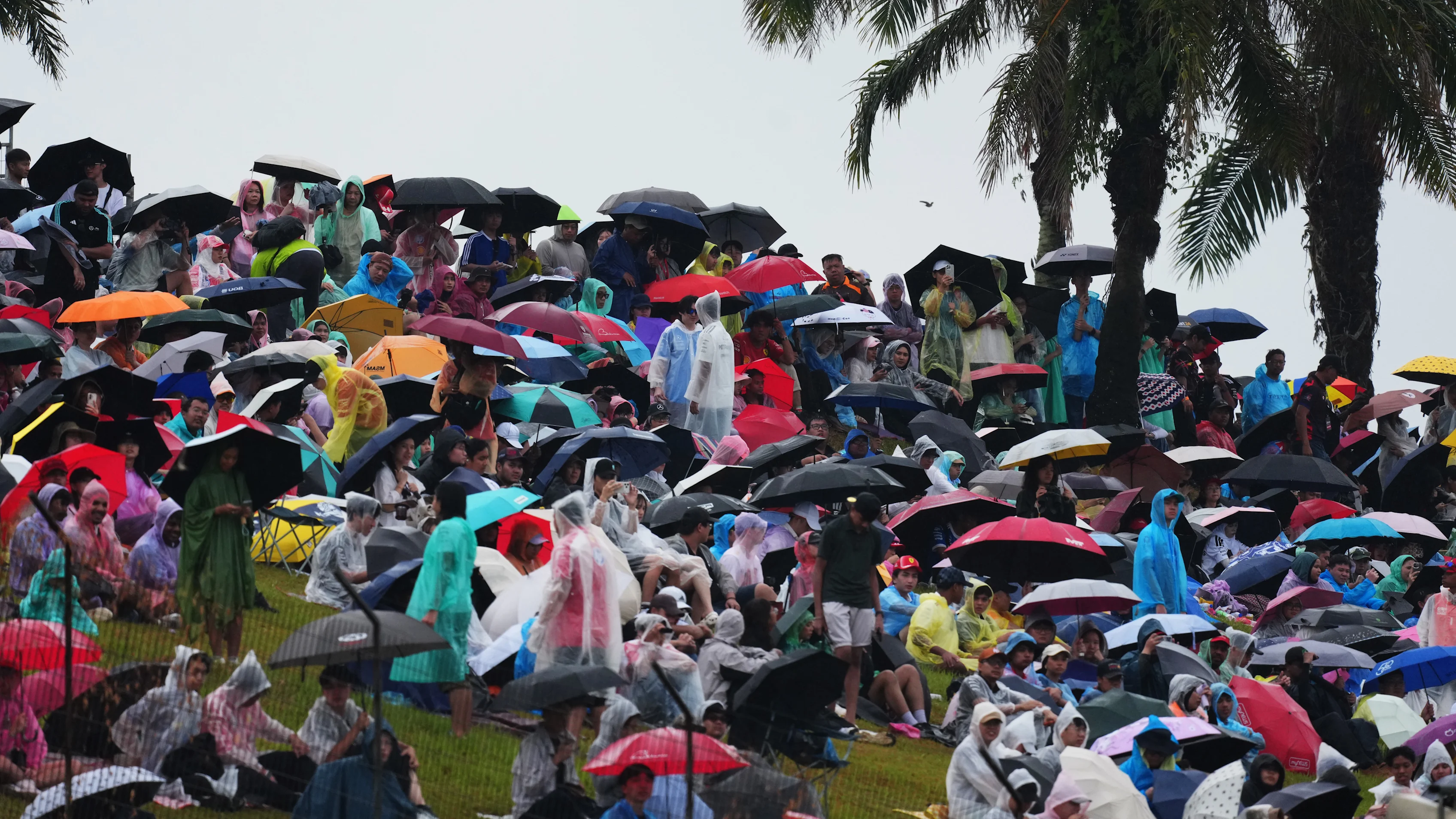 Fans shelter under umbrellas in the Sepang grandstands during the rain delay.