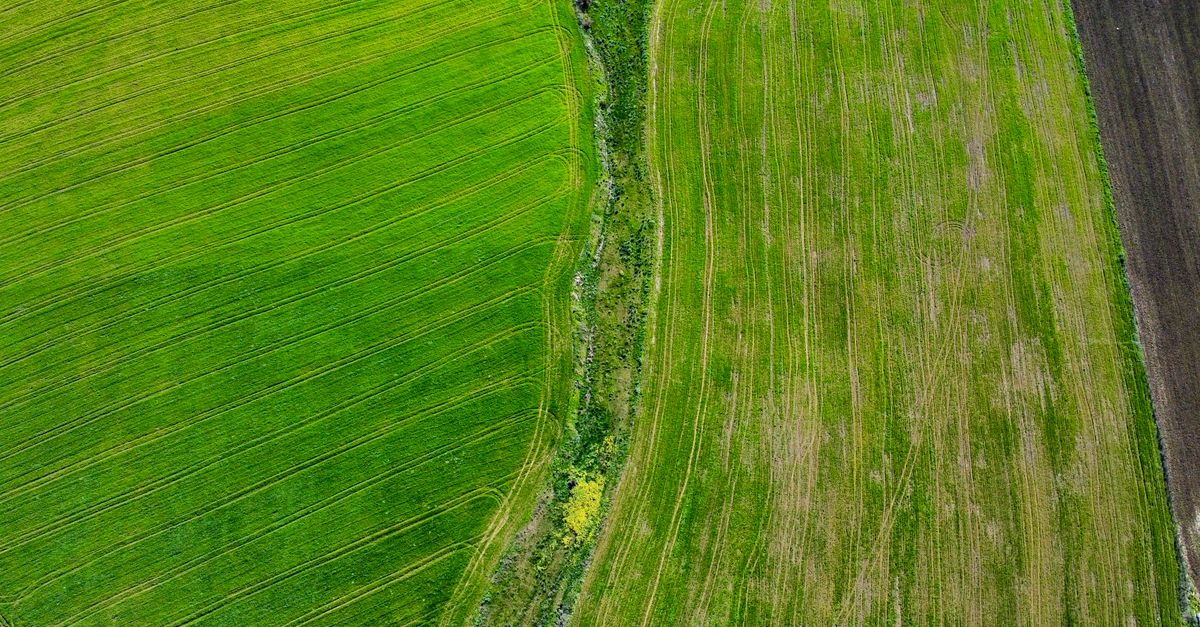 Aerial view of regenerative farmland with crop rows at sunrise