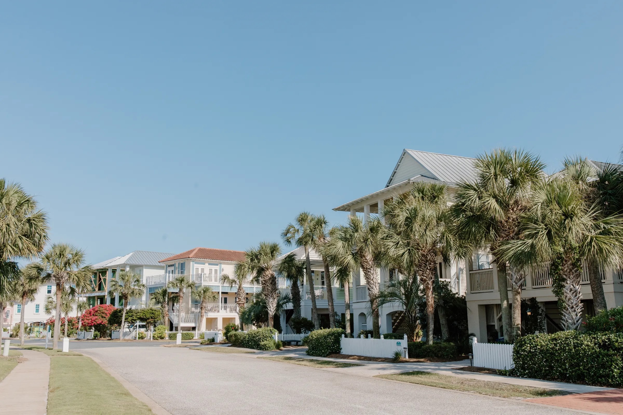A sunny Florida residential street lined with palm trees and pastel homes