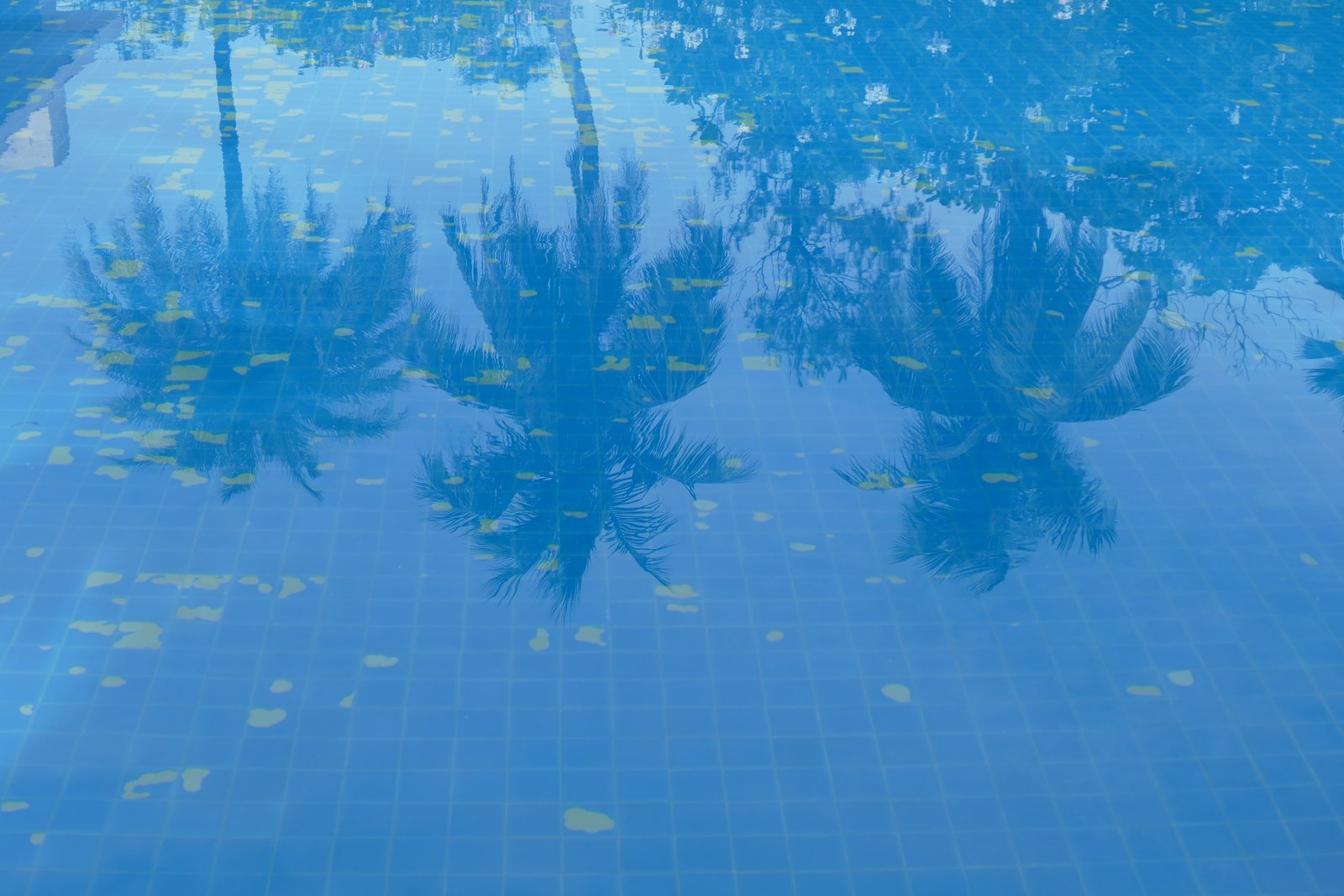 Outdoor hotel swimming pool with clear blue water