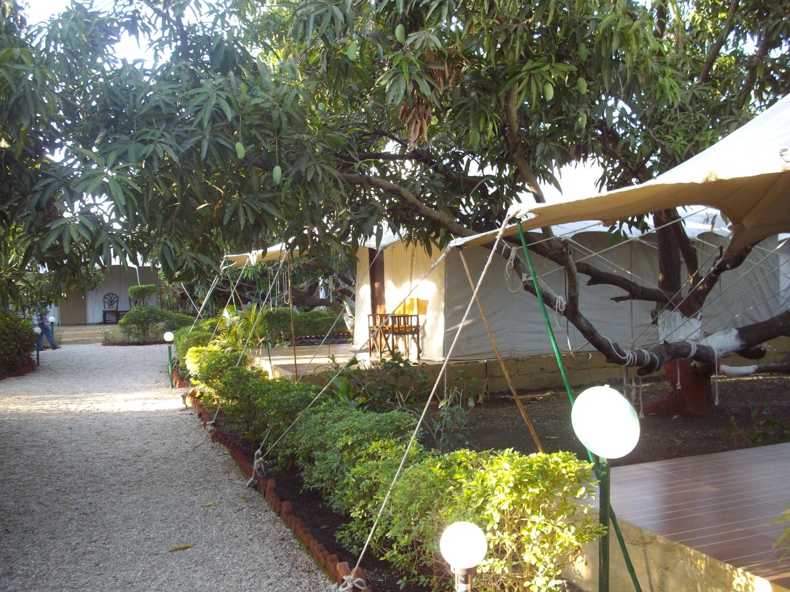 Luxury safari tents at a tented camp resort